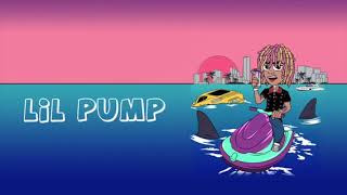 Lil pump - a nigga bitch