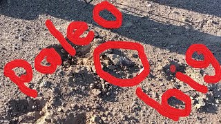 Download Lagu 292 INCREDIBLE PALEO KNIFE MP3