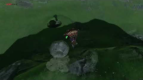 [DAY 130] of finding one korok seed everyday until Botw2 comes out