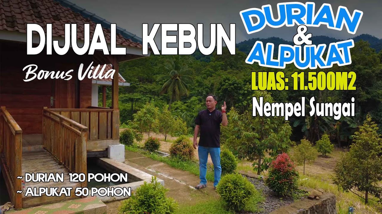 Dijual villa Durian Dan alpukat Luas 11.500, View Aestetic , Nempel Aliran Air Pegunungan