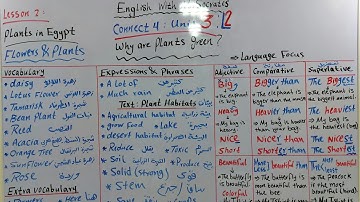 Connect 4, Unit 3, Lesson 2 & Connect 5, Unit 2, L1, Language Focus, (Comparatives and Superlatives)