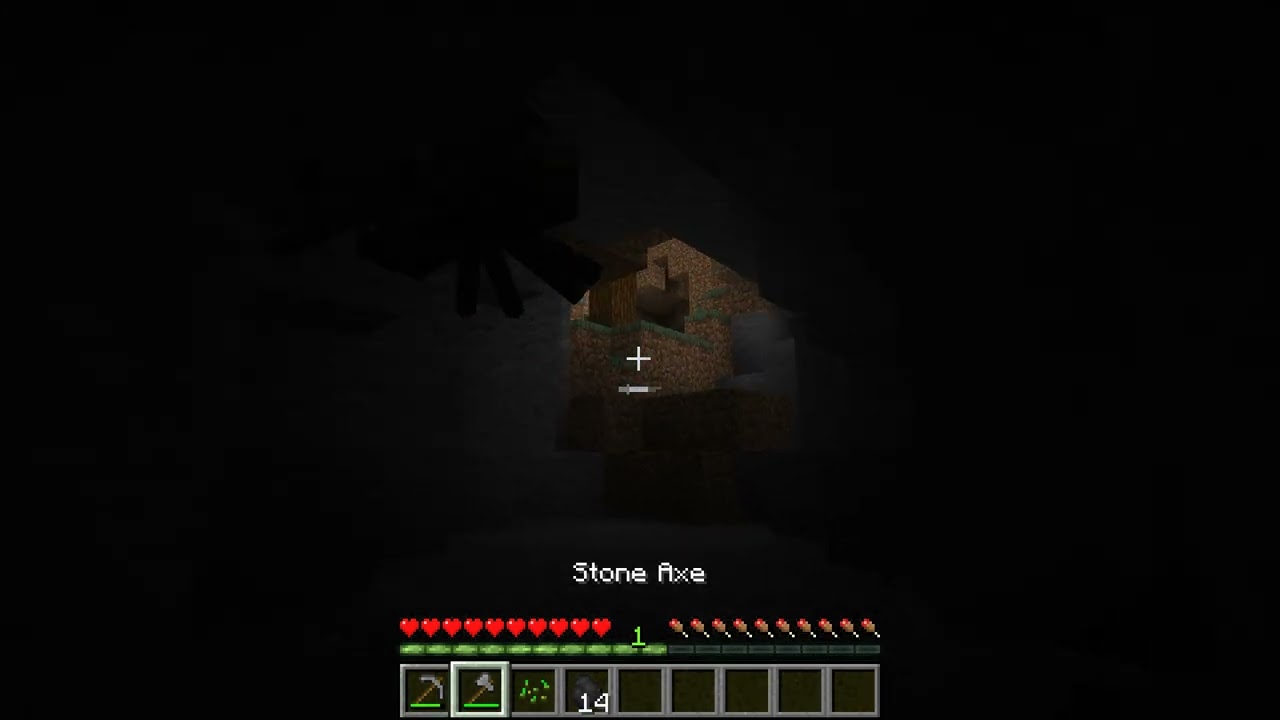 Trying to Speed Run Minecraft with 