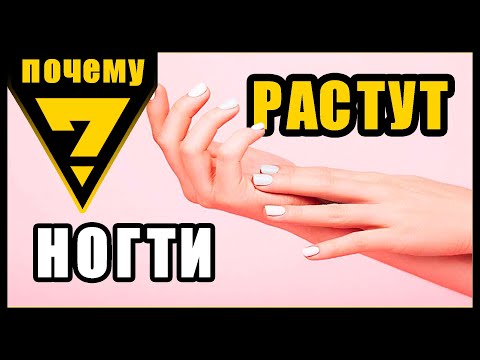 ПОЧЕМУ НОГТИ И ВОЛОСЫ НЕ ПЕРЕСТАЮТ РАСТИ ДАЖЕ ПОСЛЕ СМЕРТИ?