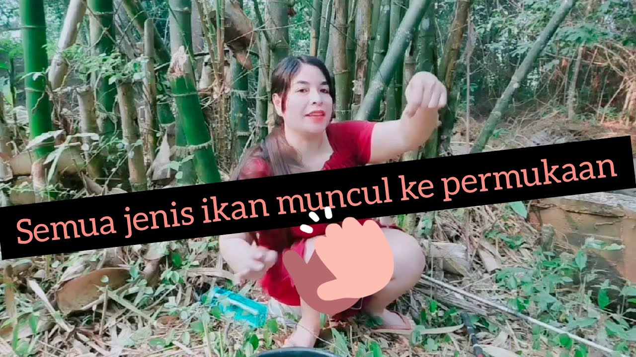 MEMANG REZEKI❤️KEMUNCULAN IKAN PUTIH SISIK🎣