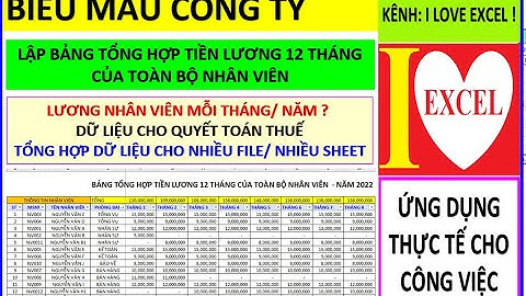 LẬP BẢNG TỔNG HỢP TIỀN LƯƠNG 12 THÁNG CỦA TOÀN BỘ NHÂN VIÊN TRONG NĂM (ILOVEEXCEL!)