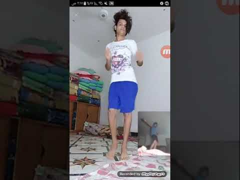 زواحف النجف