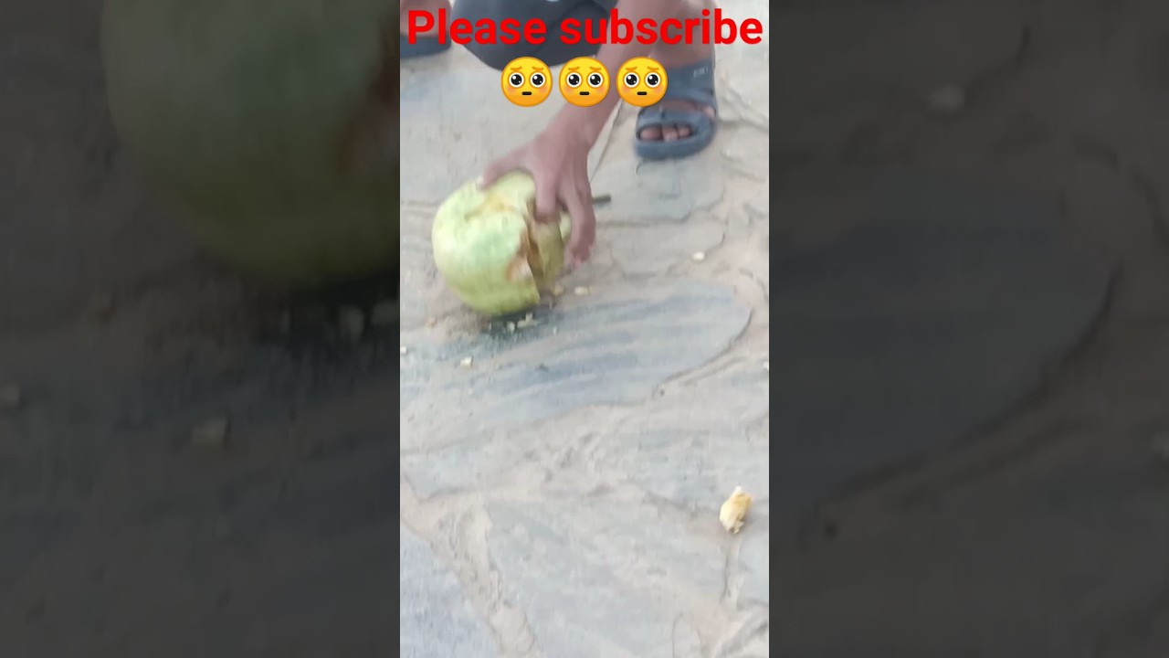 dhai kilo ka haat jab kiss pe padata hai | ढाई किलो का हाथ जब किसी पे पड़ता है ना|Sunny Deoal