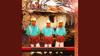 Video thumbnail of "Lobo Negro - El Mono De Alambre"