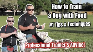 DO NOT TRAIN YOUR DOG WITH TREATS! WATCH THIS VIDEO FIRST! Best Dog Training Tips Revealed -Part 3