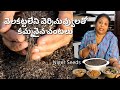 Gaddi Nuvvulu/వెర్రి నువ్వులు/Niger seeds/Verri Nuvvulu chutny/Nigerseeds powder/Nuvvula pachipulusu