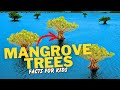 Understanding Mangroves