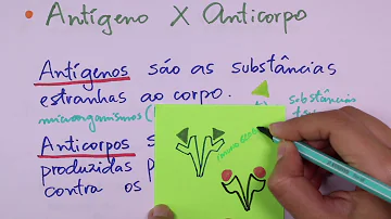 Quais são os órgãos que fazem parte do sistema imunitário?