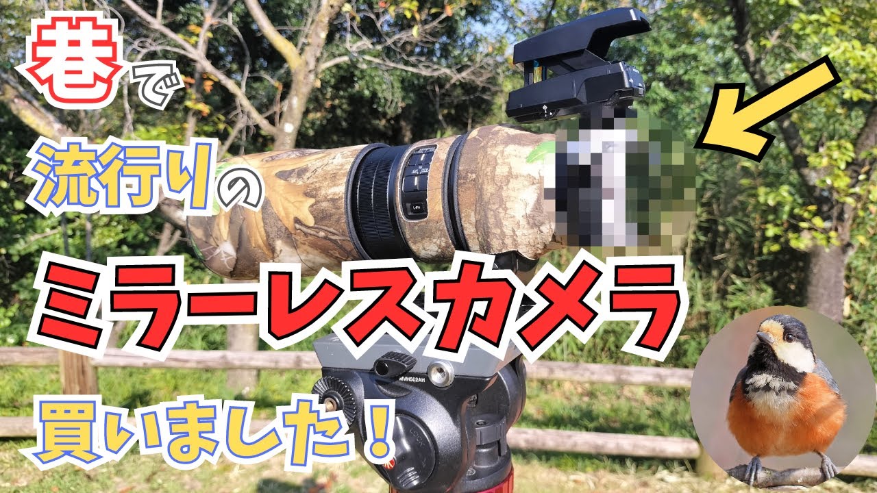 巷で流行りのミラーレスカメラ買いました！ / OM SYSTEM OLYMPUS
