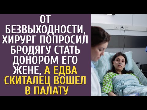 От безвыходности, хирург попросил бродягу стать донором его жене, а едва скиталец вошел в палату