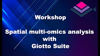 Giotto workshop 2024: Visium analysis Part I