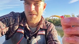 Crappie Plastics Colors -Beginners Guide -How To Catch Crappie