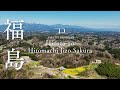 [SAKURA DRONE 4K] 日向の人待地蔵桜（Hinatano Hitomachi Jizo Sakura）福島県二本松市｜桜ドローンプロジェクト2026