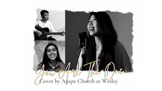 You are The One - Bobby Febian Cover by Agape Indonesian Church