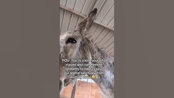 please consider donating to our PayPal link in bio on our Instagram page for support #donate