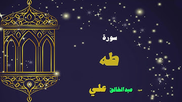 القران الكريم بصوت الشيخ عبد الخالق على | سورة طه
