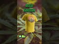 Sunset Bliss | Cannabis Leaf T-shirt Merch by StoonStyleStudio #SunsetBliss #CannabisFashion