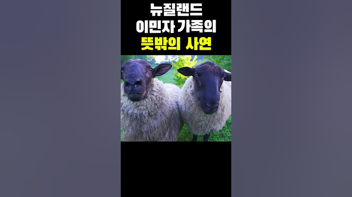 한국인 1도 없는 뉴질랜드 시골에 살면 생기는 일 #shorts