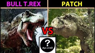 Bull T.Rex VS Patch, con nào sẽ thắng #138 |Bạn Có Biết?