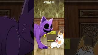 CATNAP | MOYAM