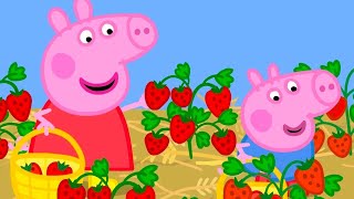 Peppa Pig And George Visit The Strawberry Farm Together 🐷 🍓 Adventures With Peppa Pig