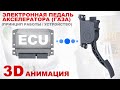 Электронная педаль газа (акселератора) / устройство и принцип работы в 3D анимации