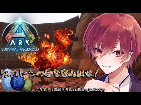 【ARK: Survival Ascended】スコーチドアース　ふぇにおでワイバーンの卵盗み【紅宮こうが / Vtuber】