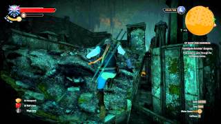 The Witcher 3 - [bug] Can not jump upstairs in Aeramas Dungeon (Quest: Of dairy and darkness)