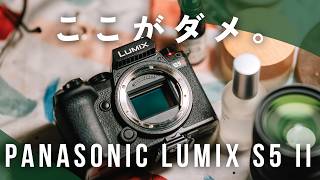 【使い込んでわかる】Panasonic LUMIX S5IIのガチでダメなところ