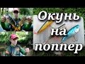 Окунь на поппер. Теория и практика