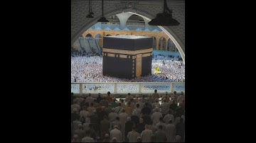 سورة الكوثر بصوت الشيخ ابراهيم محمد
