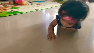 Baby Playing With Ant Baby Playing Video Video