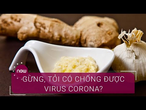 Gừng, tỏi có đủ sức "đánh bại" virus Corona? | VTC Now