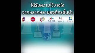 What is Synergysoft