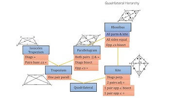 Revision of the Quadrilateral Hierarchy for Analytical Geometry