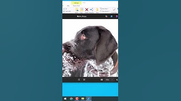 Bestanden in een afbeelding verbergen | Bestanden verbergen op Windows