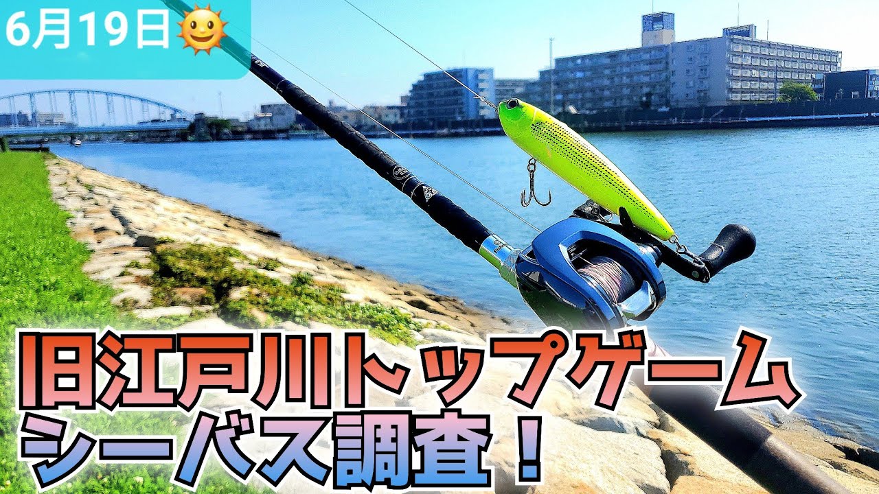 6/19/2026 [Old Edogawa Topwater Game Investigation!] - YouTube