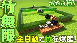 マインクラフト ┃全自動の竹無限製造機を作りたい！[1.14.4～1.15対応] #101【ぽこなかくら 2020】