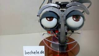 Robot puppet face