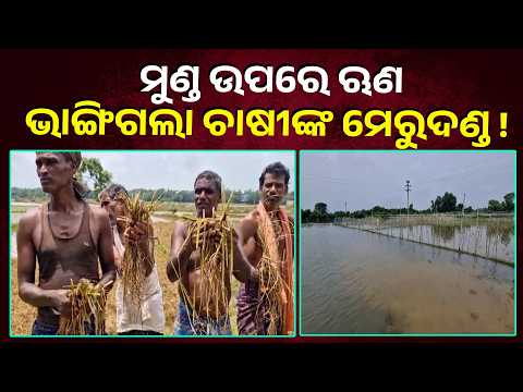 Subarnarekha Flood Destroys Farmers’ Dreams in North Balasore