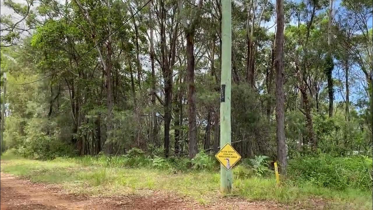 SOLD Land for Sale Russell Island Queensland Australia, 15 Loftus Cres