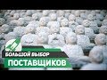 Поставщики для Дропшиппинга | Дропшиппинг на Амазон