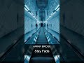 Arkan Bridge - Stay Fade | Chill Electronic Music
