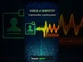 Discord voice cloning in ~30 seconds: CopyKitten — and the security risk