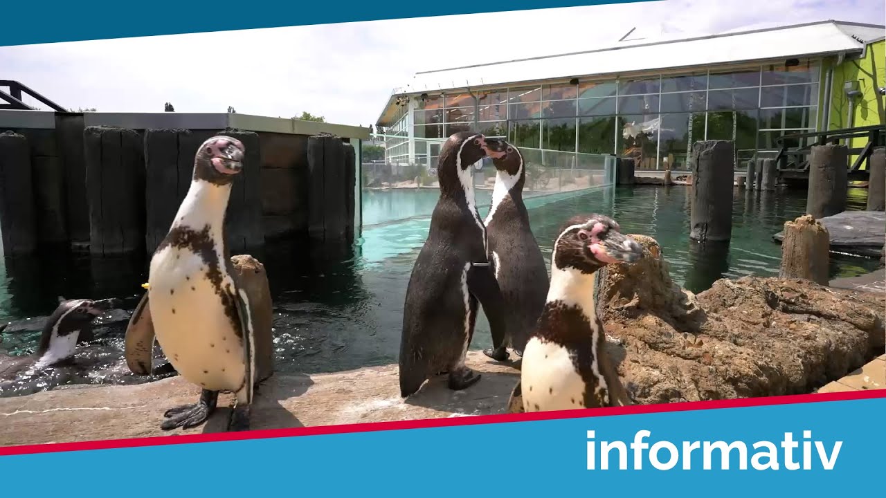 Der Spreewald erzählt: Aus dem Spreewelten-Bad Lübbenau