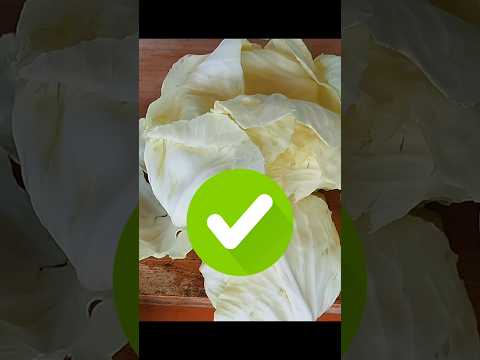 Clever Kitchen Hacks💡👍|Effortless